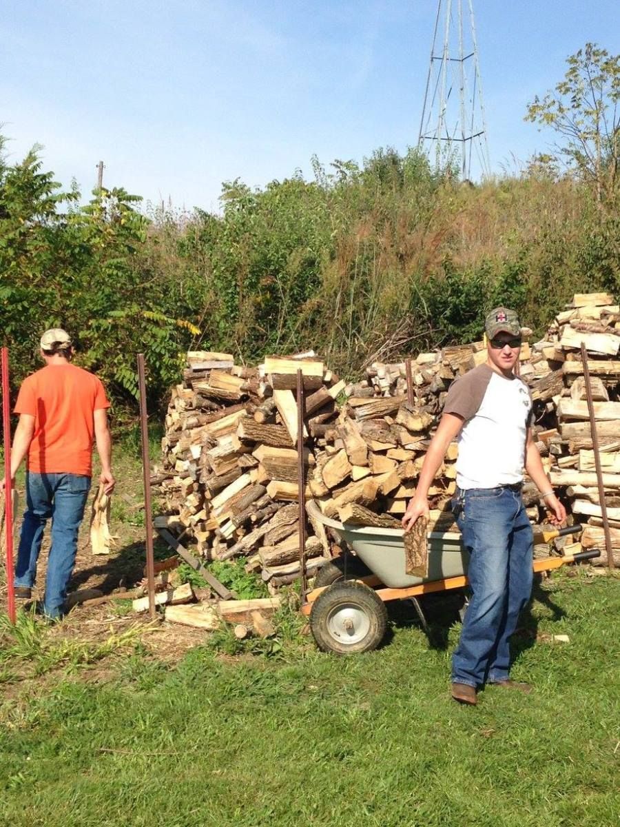 Two men stacking firewood in a grassy area, a wheelbarrow and large woodpile nearby, a radio tower in the background.