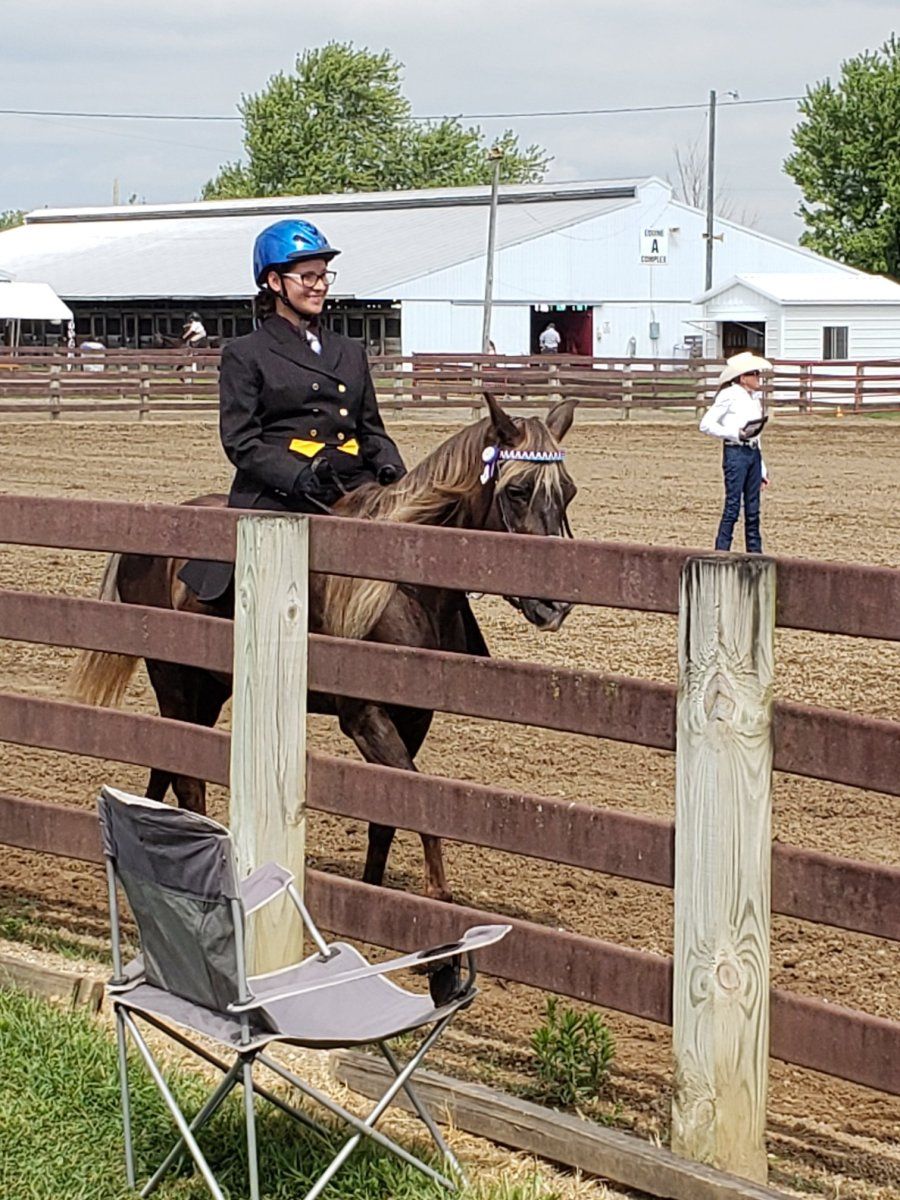 Woman on horse at an equestrian event, sitting behind a wooden fence. Spectator stands near.