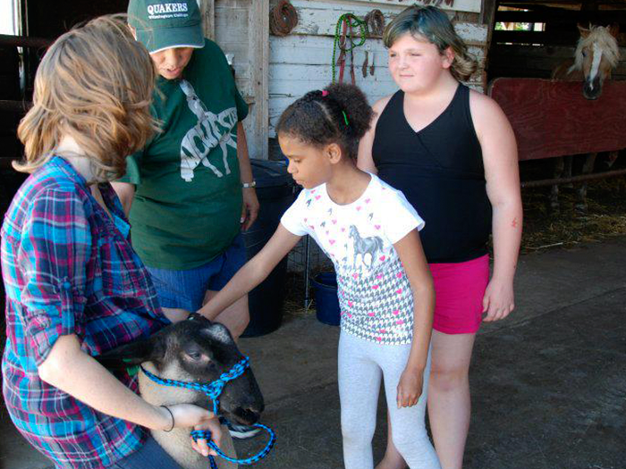 People interacting with a sheep in a barn. Girl pets the sheep while others look on.
