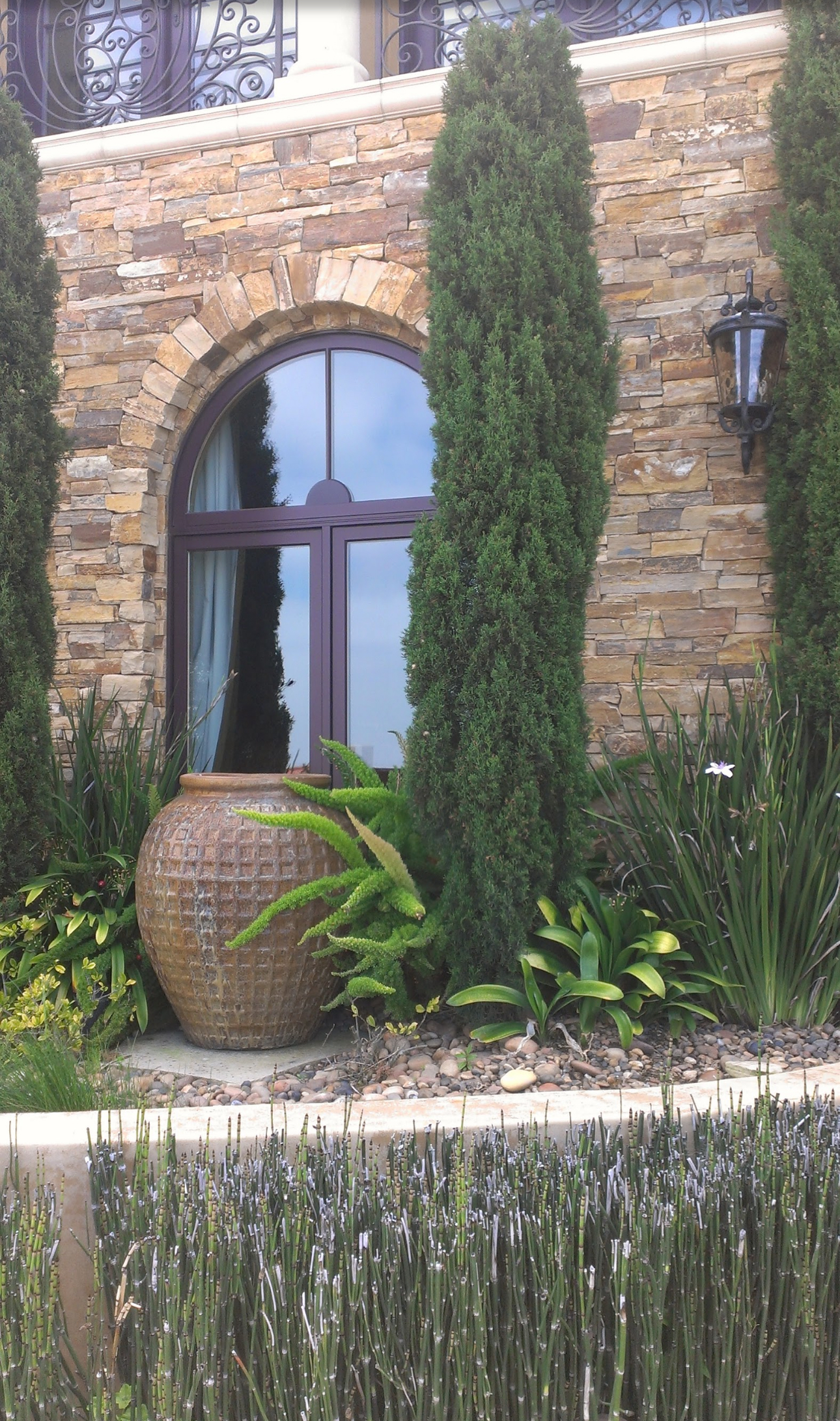 A large potted plant is in front of a stone building with a window.