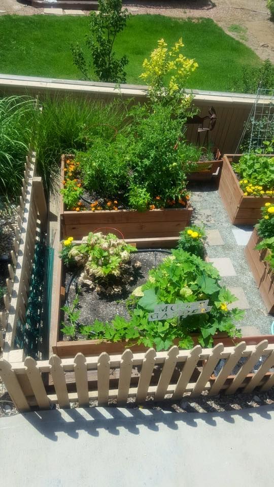 Raised garden beds with various plants, surrounded by a small picket fence and stone path.