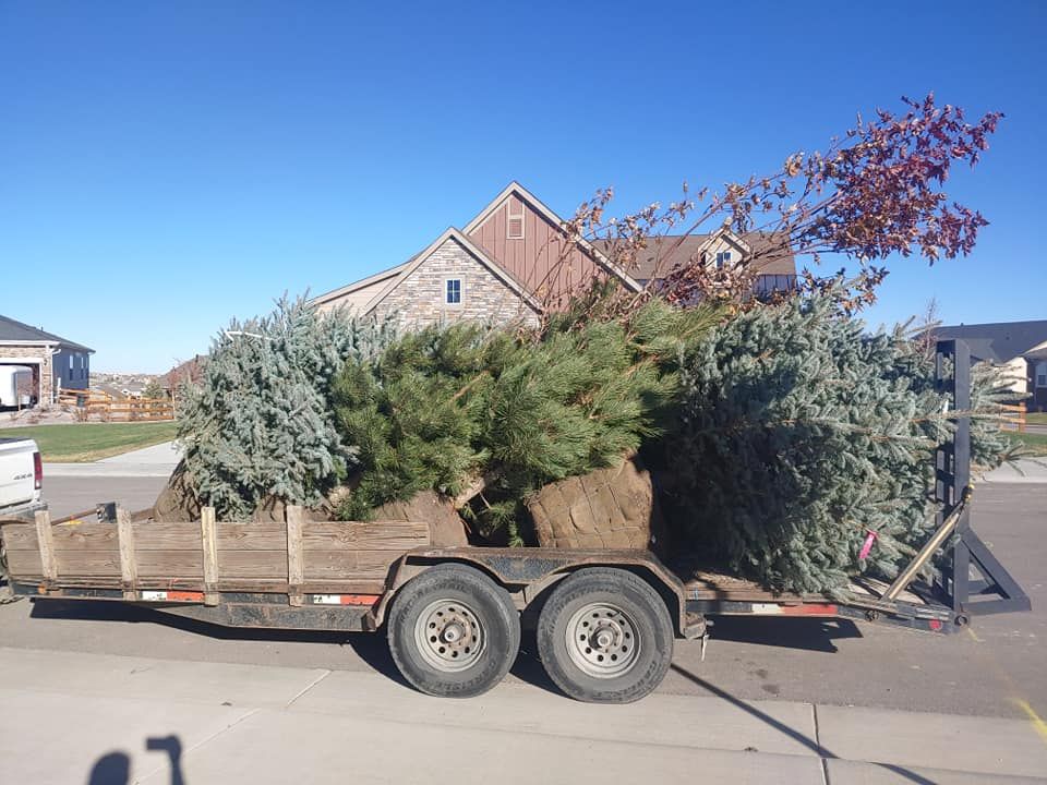 Trailer loaded with greenery in front of a house. Blue sky.