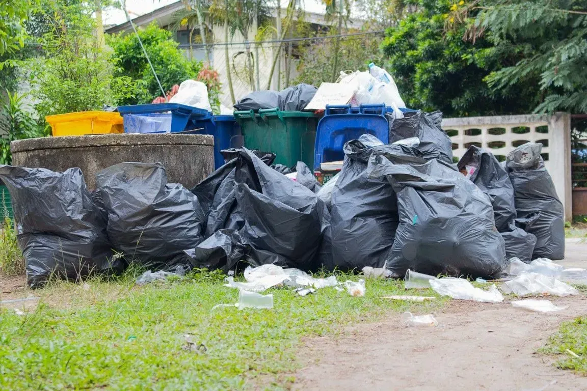 Large black trash bags and plastic bins piled on a residential lawn.