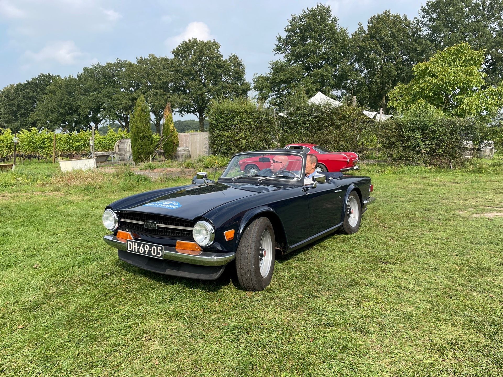 Een donkerblauwe Triumph TR6 cabriolet staat geparkeerd op het gras. Op de achtergrond zijn bomen en gebouwen te zien.