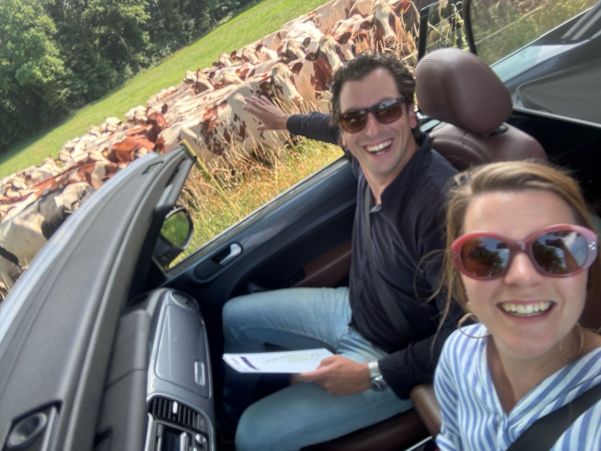 Twee lachende mensen in een cabriolet wijzen naar een stenen muur in een grasveld.