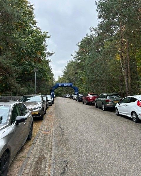 Auto's geparkeerd langs een weg onder een boog, omzoomd door bomen op een bewolkte dag.