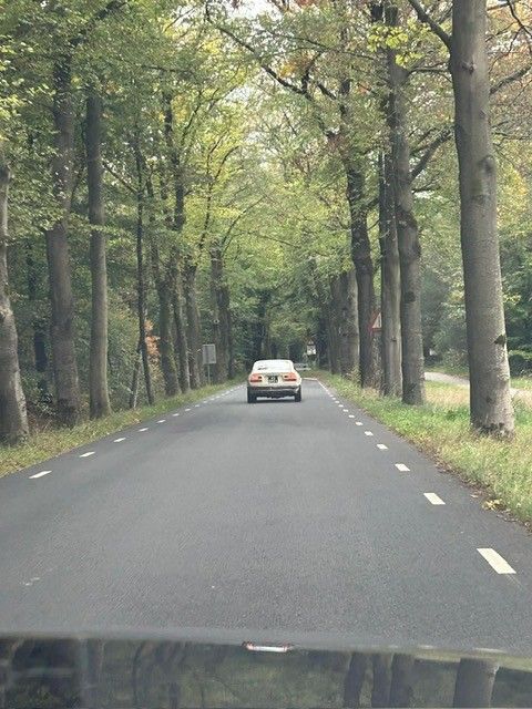 Een auto rijdt over een met bomen omzoomde weg op een bewolkte dag.