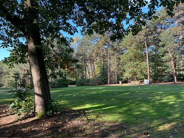 Een groen gazon, omzoomd door bomen, met schaduwen van de zon.
