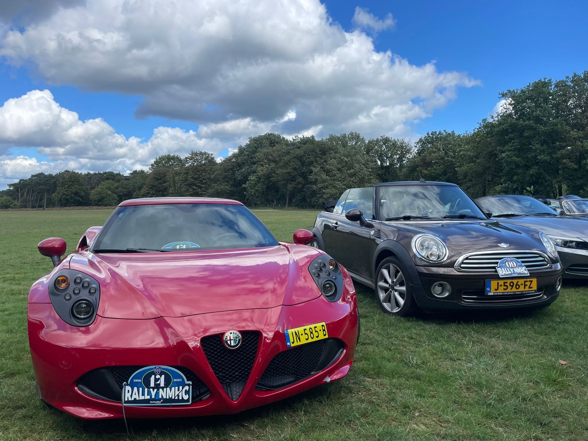 Een rode Alfa Romeo en een bruine Mini Cooper staan ​​geparkeerd op het gras onder een bewolkte hemel.