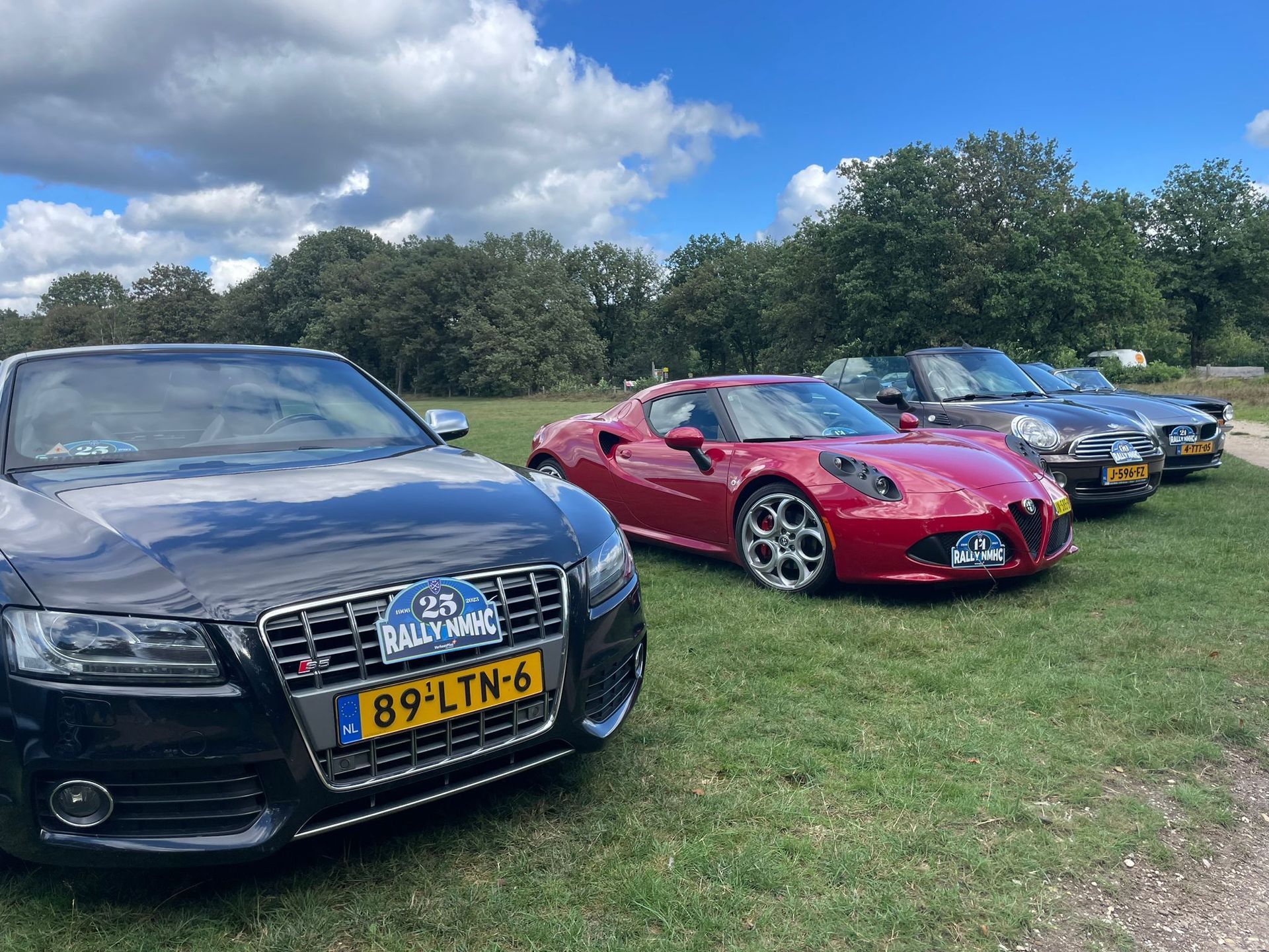 Vier auto's geparkeerd op het gras: een zwarte Audi, een rode Alfa Romeo en twee andere auto's, onder een bewolkte hemel.
