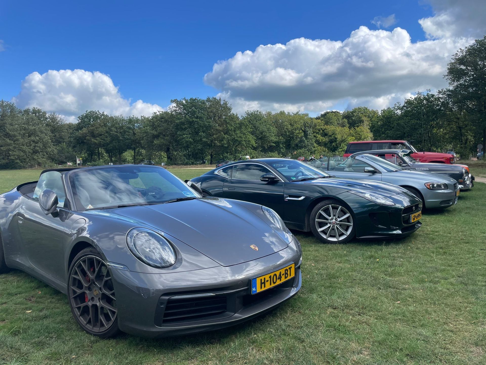 Een grijze Porsche cabriolet, een donkergroene Jaguar en andere auto's staan ​​geparkeerd op een grasveld op een zonnige dag.