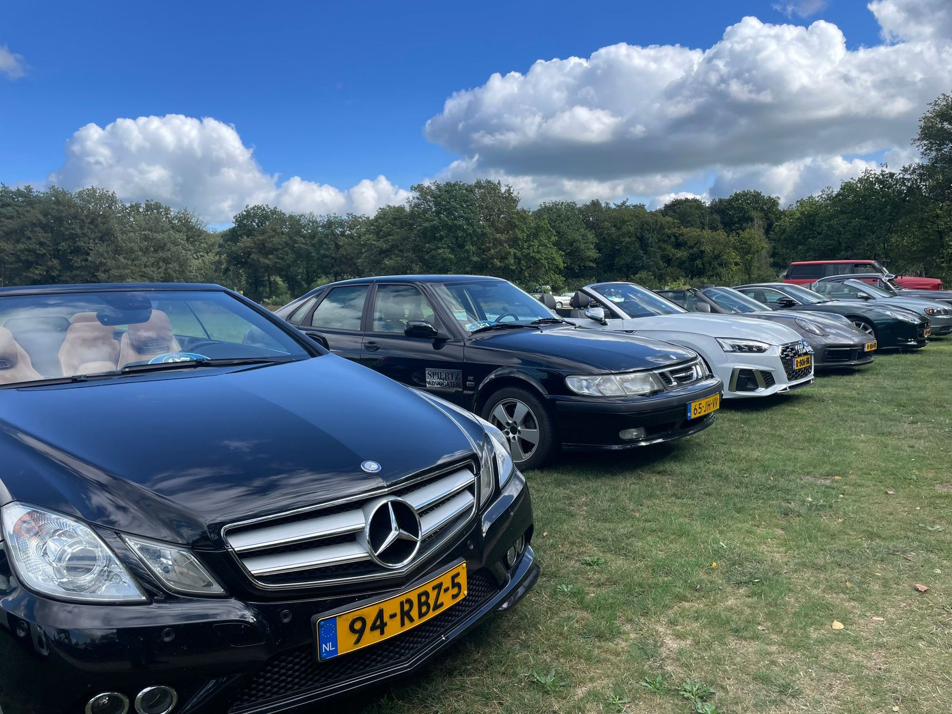 Een rij geparkeerde auto's op een grasveld onder een bewolkte blauwe hemel.