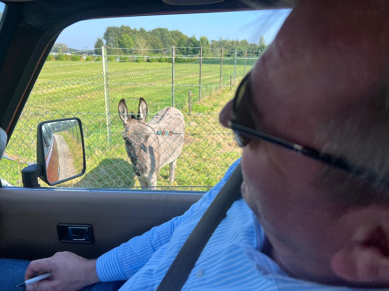 Een man in een auto kijkt naar een ezel bij een hek in een groen veld.