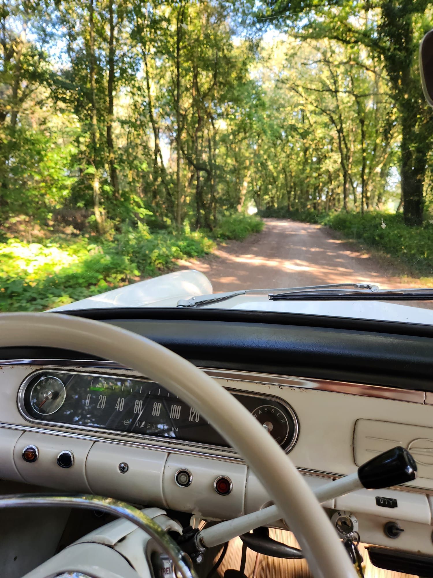 Interieurfoto van een klassieke witte auto die over een onverharde weg rijdt, in de schaduw van bomen.
