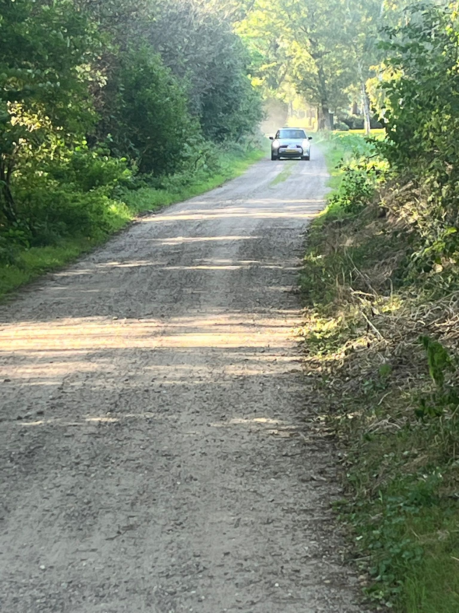 Een onverharde weg leidt naar een witte auto tussen groene bomen in het zonlicht.