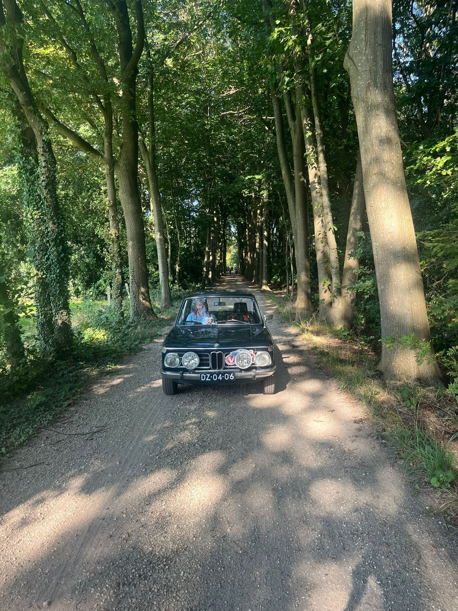 Een klassieke zwarte auto op een schaduwrijke onverharde weg, omzoomd door hoge bomen.