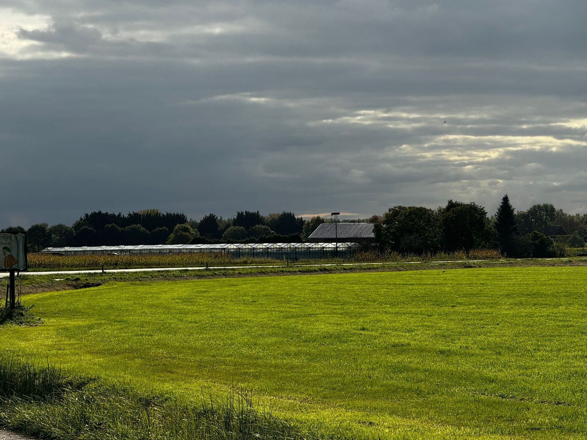 Groen veld onder een bewolkte hemel, met een gebouw en bomen in de verte.