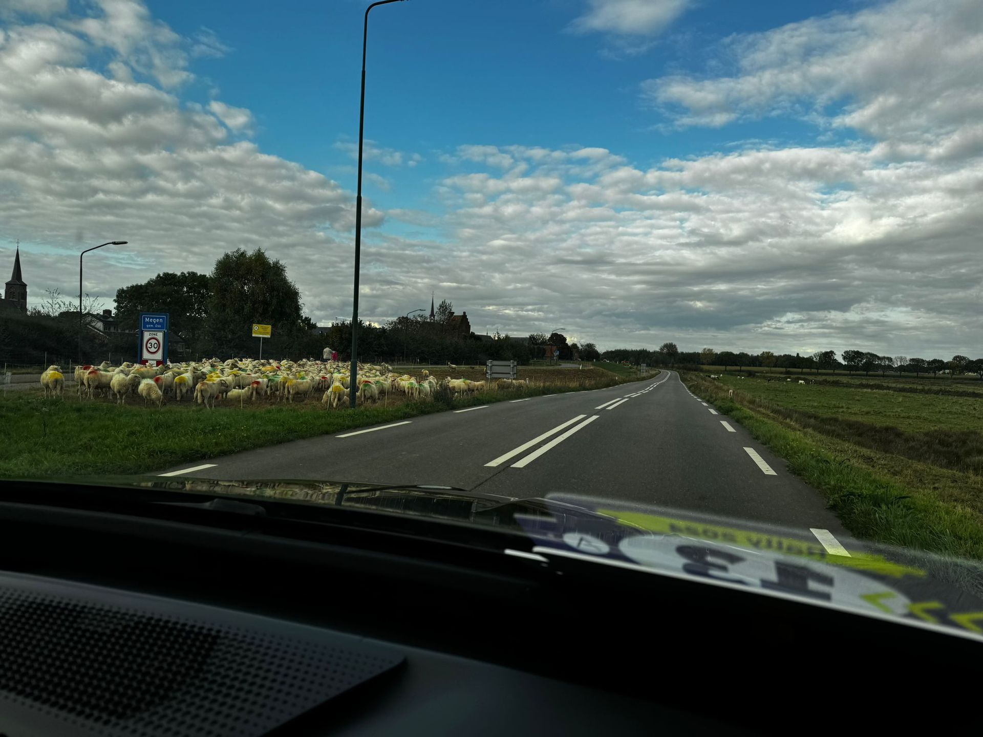Een auto rijdt over een weg met een kudde schapen aan de kant, onder een blauwe hemel.