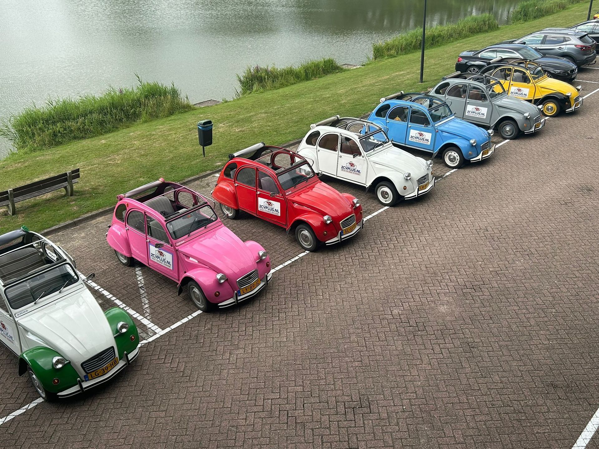 Een rij kleurrijke vintage Citroën 2CV's staat geparkeerd op de stoep bij een meer, met een grashelling op de achtergrond.