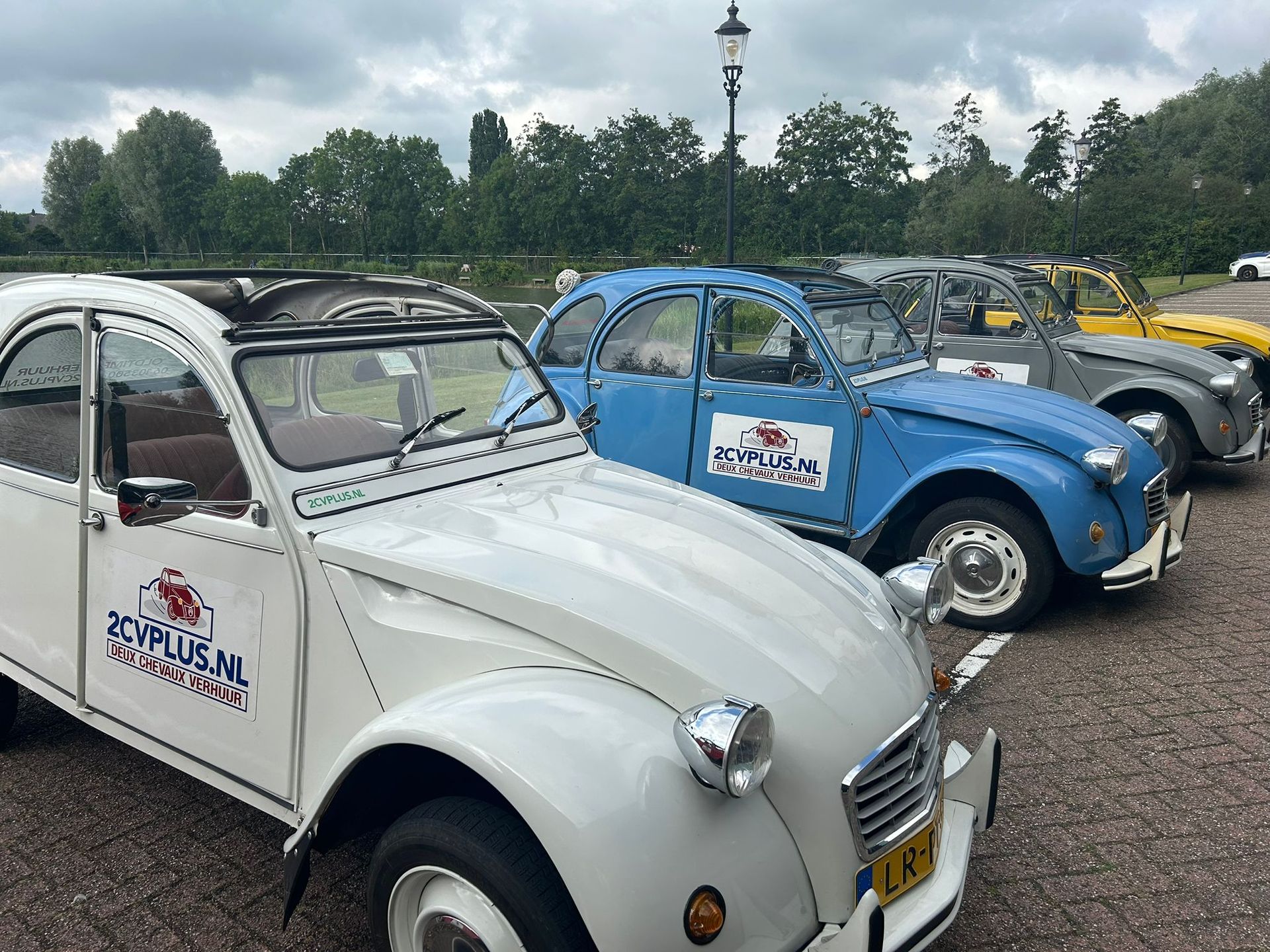 Een rij kleurrijke Citroën 2CV's staat buiten geparkeerd, waaronder witte, blauwe en gele modellen.