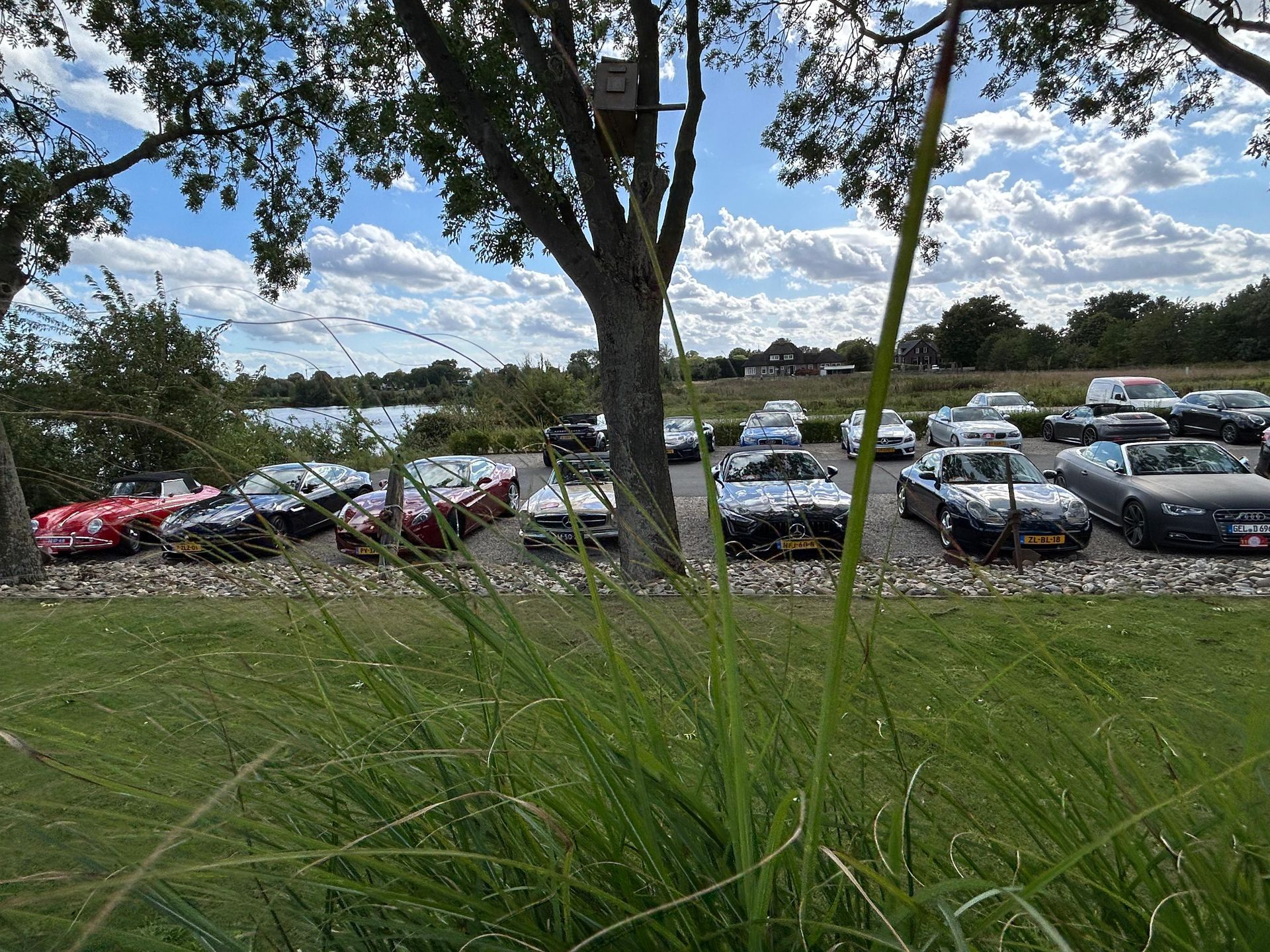 Auto's geparkeerd bij een meer, onder een boom. Zonnige dag met gras op de voorgrond.