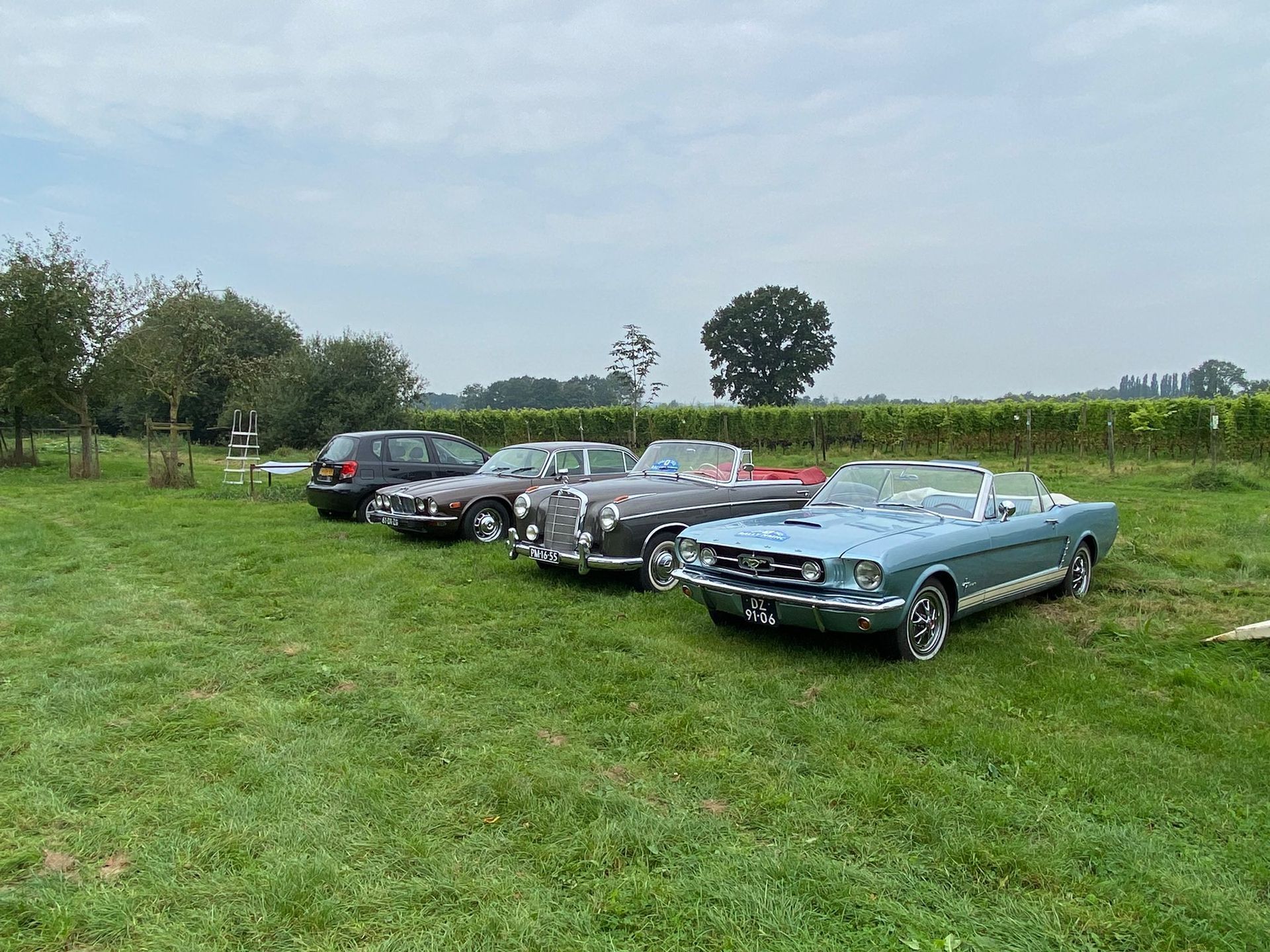 Vijf oldtimers geparkeerd op een grasveld op een bewolkte dag.