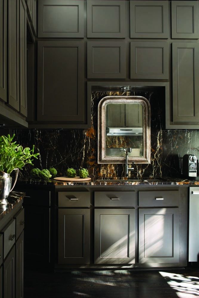 Dark kitchen with black cabinets, sunlit sink, mirror backsplash, and plants on the counter
