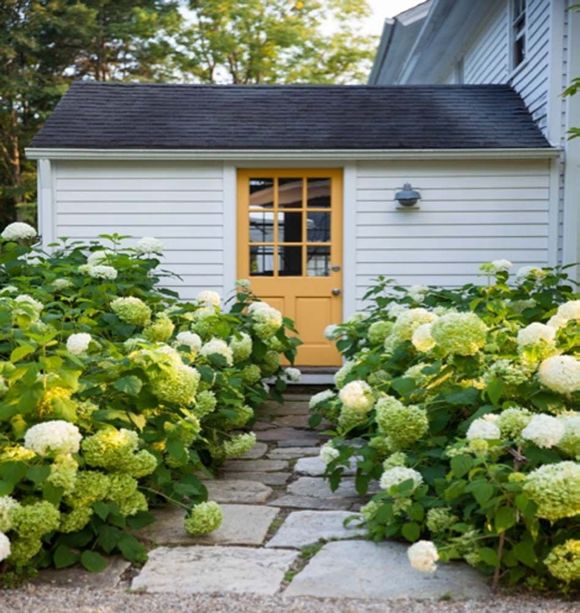 White cottage entry with yellow door, stone path, and blooming hydrangeas around the walkway