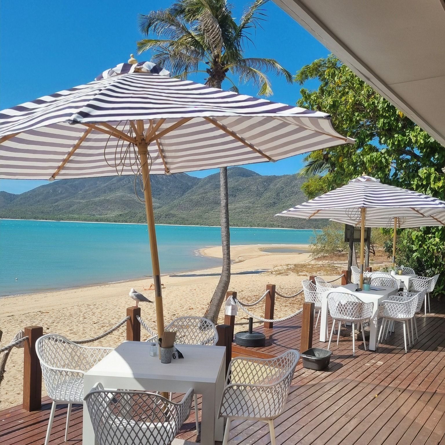 Restaurant patio overlooking beach — The Beach Bar and Restaurant at Montes in Cape Gloucester, QLD