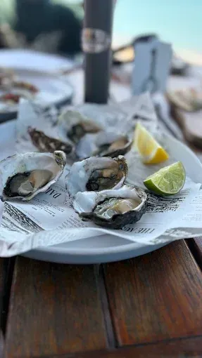 Plate of oysters on newsprint with lemon and lime wedges — The Beach Bar and Restaurant at Montes in Cape Gloucester, QLD