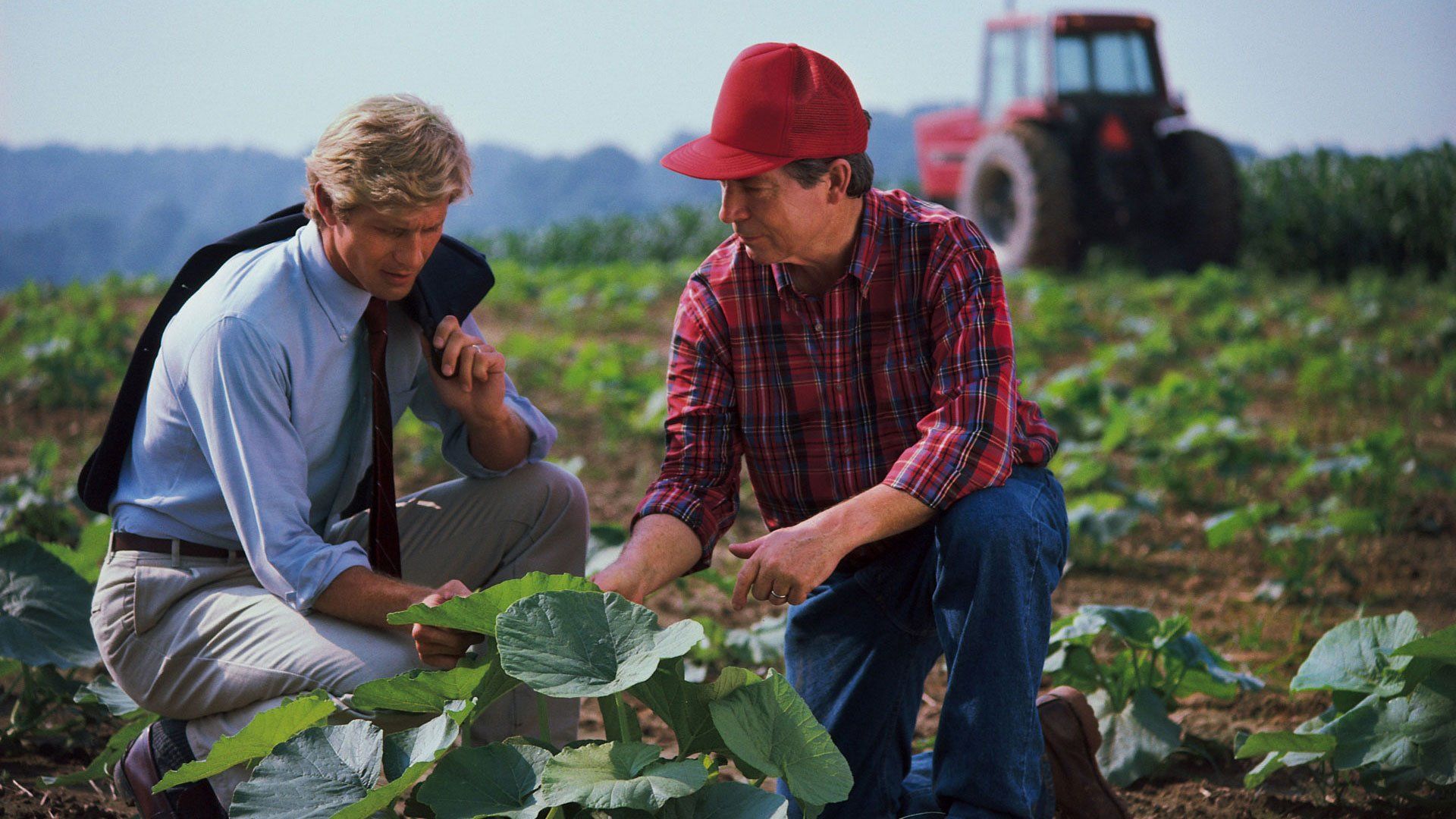 Agent Talking to A Farmer — Raymore, MO — Stan Ruby Insurance Agency