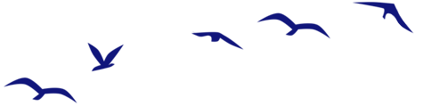 A flock of blue birds flying in a row on a white background.