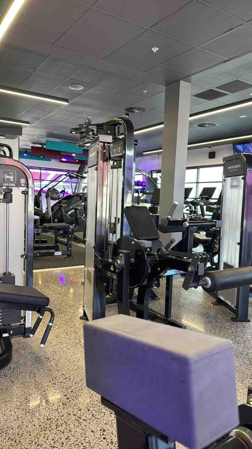 Gym interior with exercise machines, including cable and leg press stations. Purple accents and modern design.