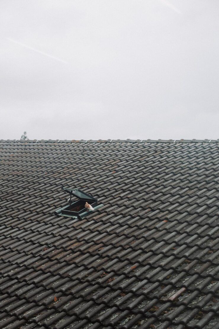 Dark gray tiled roof with an open vent under a gray sky.
