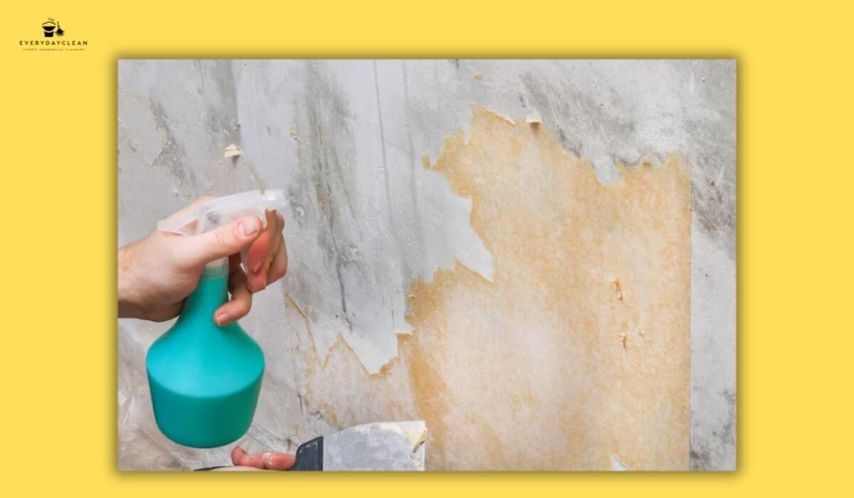 cleaning walls after renovation