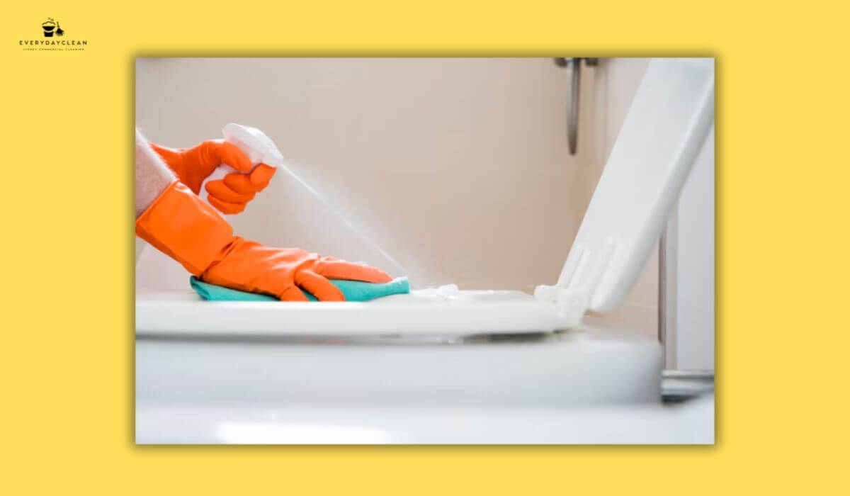 descaling toilet fixtures, cleaning