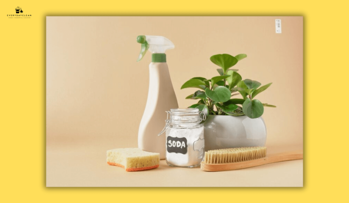 eco-friendly cleaning solutions