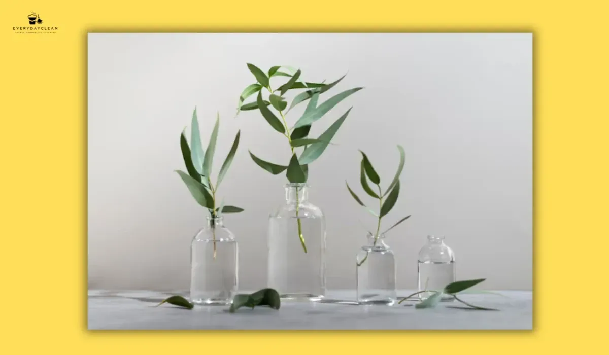 eucalyptus essential oil cleaning