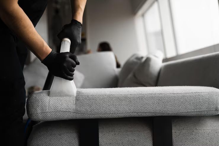 Person in black gloves cleans a gray couch cushion with a cleaning tool, indoors.