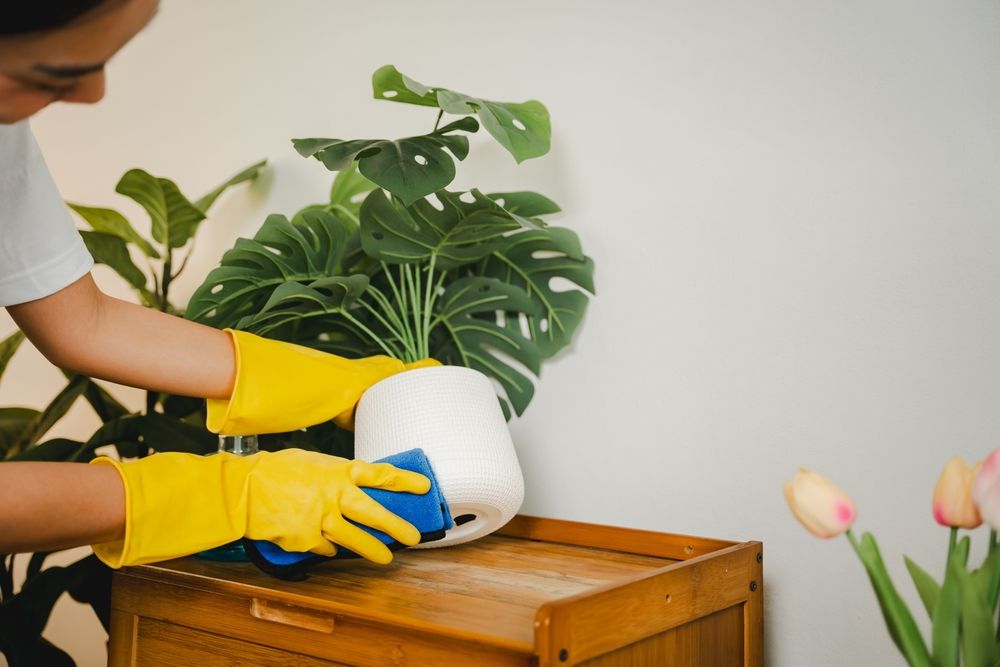 Office cleaning in Sydney with yellow gloves wiping a potted plant