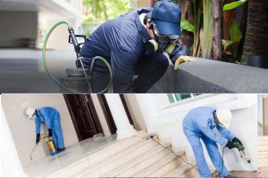 Pest control technicians in blue coveralls applying pesticides indoors and outdoors.