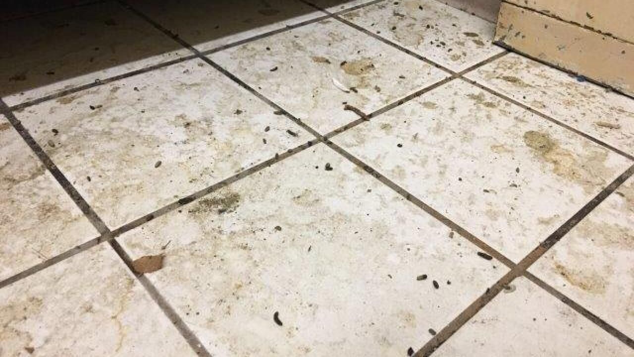 Dirty tile floor, scattered debris and stains, near a beige cabinet.