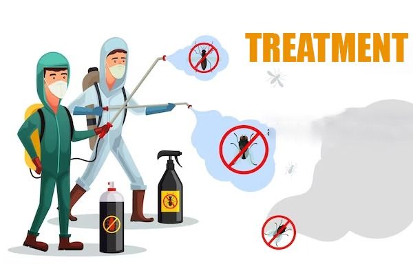 Two pest control workers spraying insecticide to eliminate bugs.