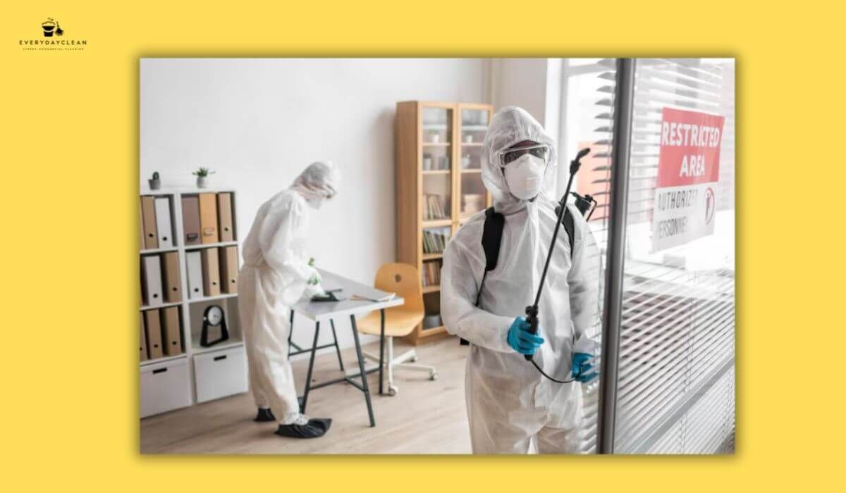 large house pest control treatment