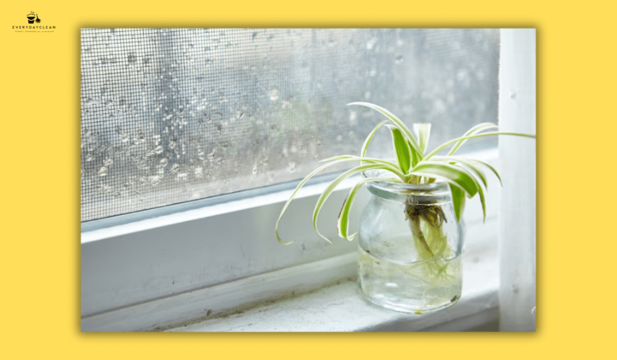 narrow brush for window sill