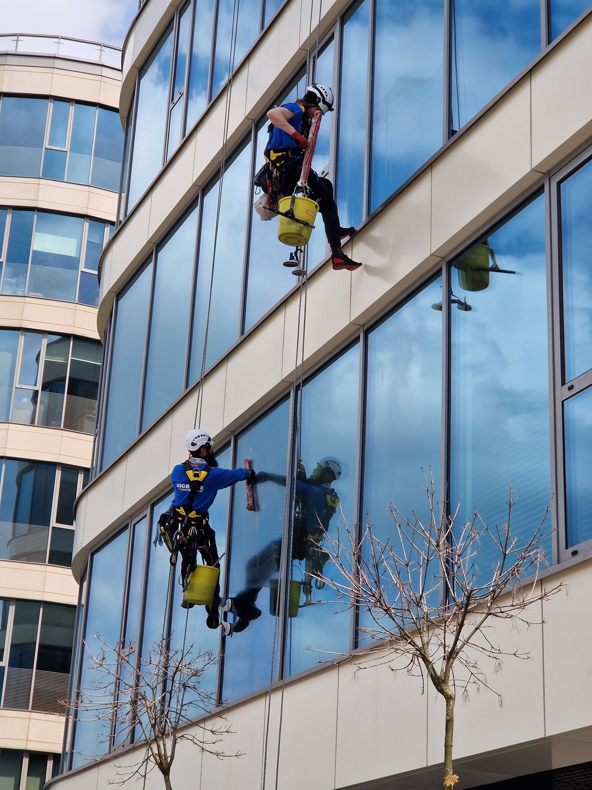 Two window washers in blue harnesses cleaning glass on a modern office building