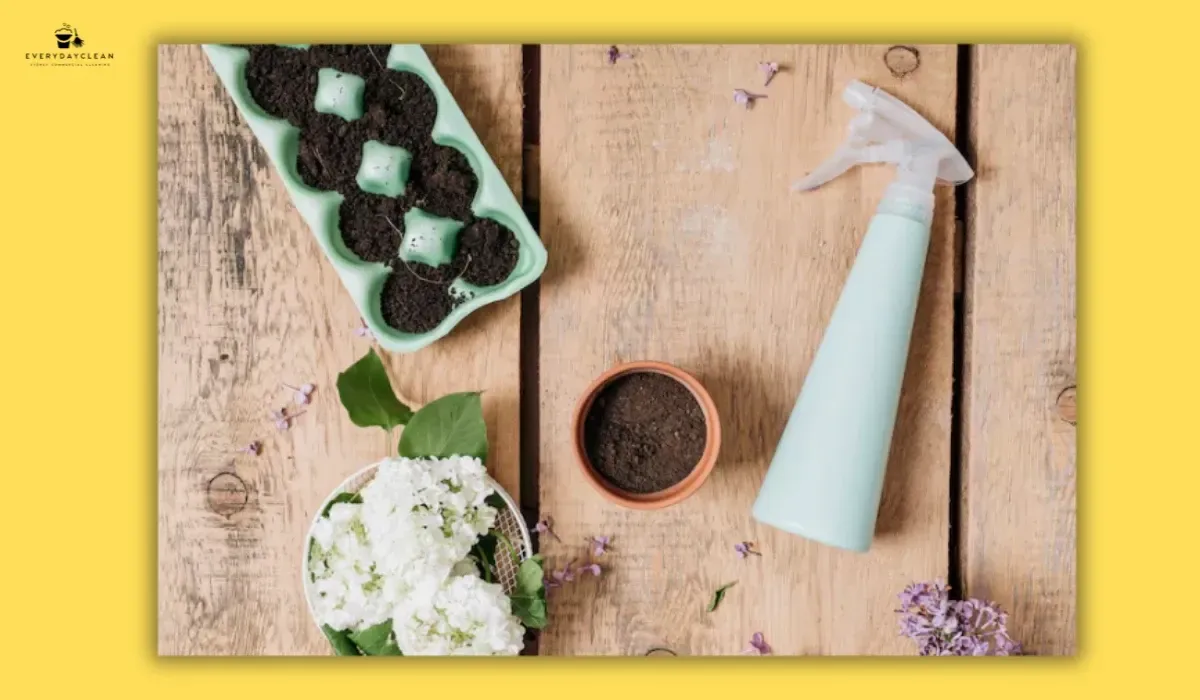 Plant-derived surfactants commonly found in organic cleaning products
