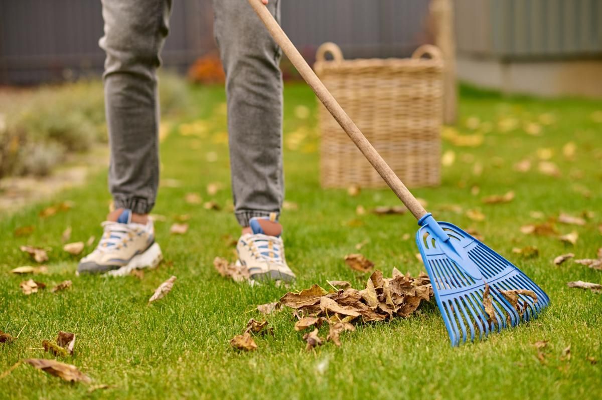 Preparation Before Cleaning Your Yard
