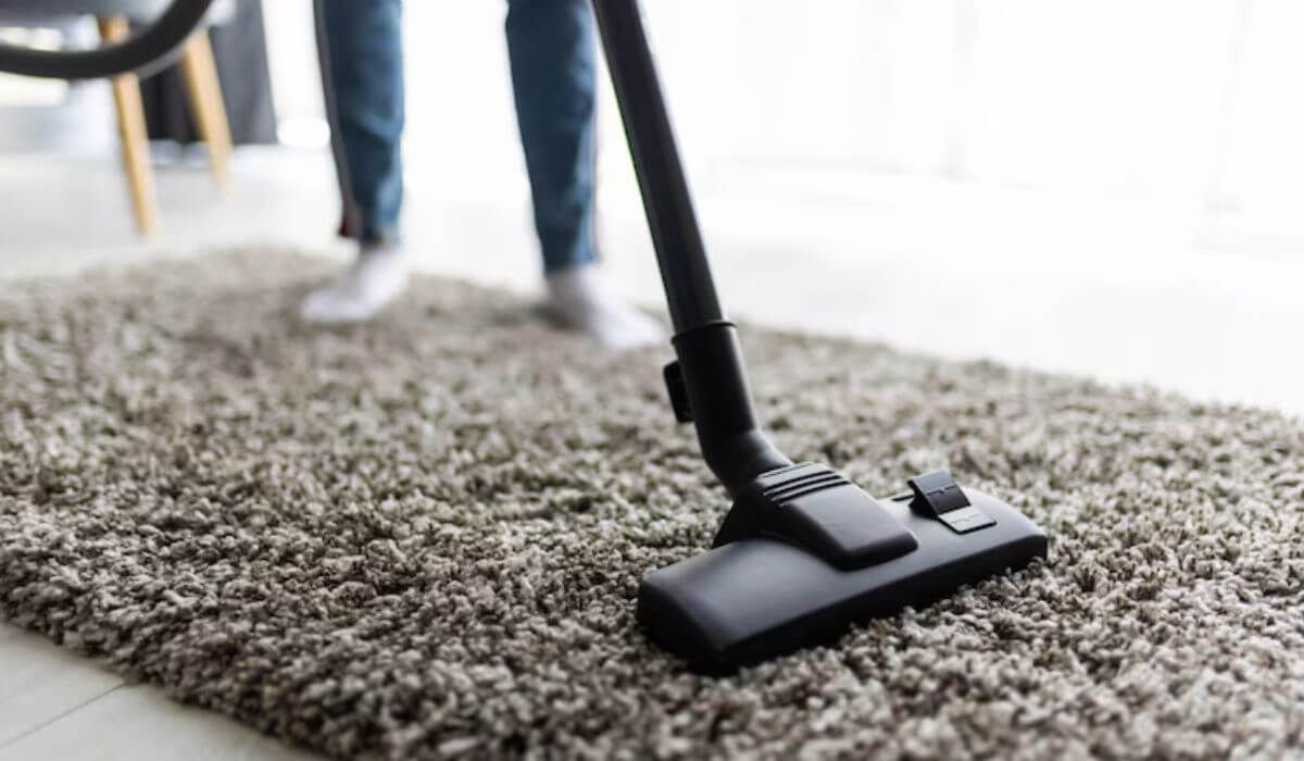 professional steam carpet cleaning