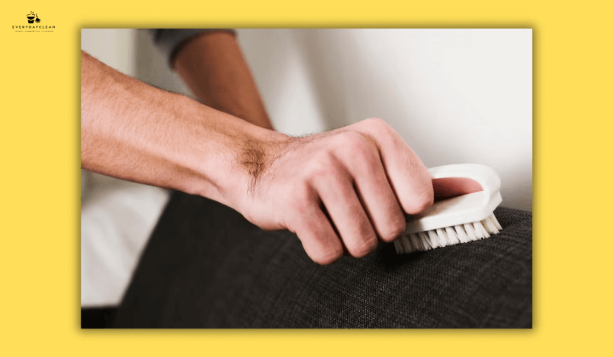 sofa cleaning process